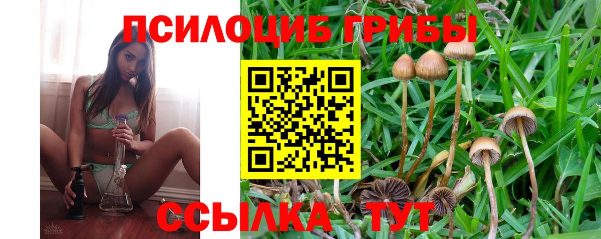 Псилоцибиновые грибы мухоморы  Вход с VPN  Кольчугино 