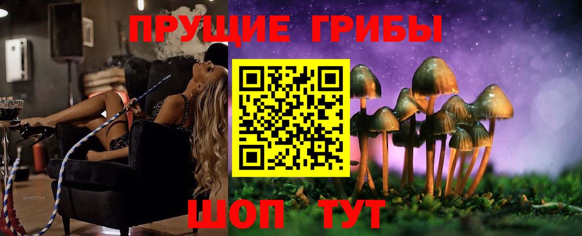 Псилоцибиновые грибы MAGIC MUSHROOMS Кольчугино